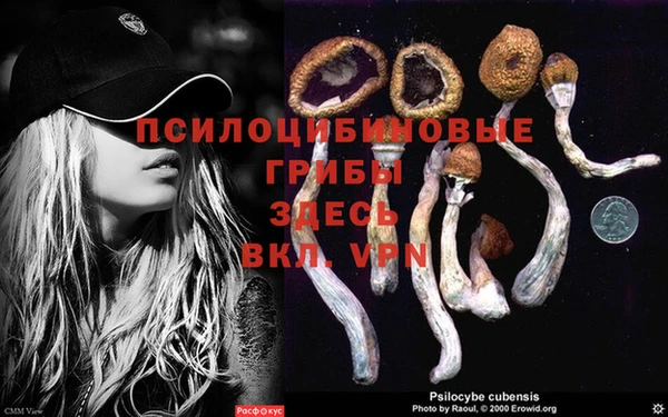 МДПВ Алзамай