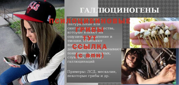 МДПВ Алзамай