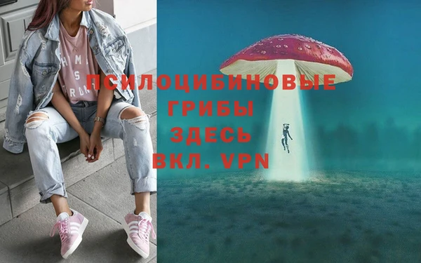 МДПВ Алзамай